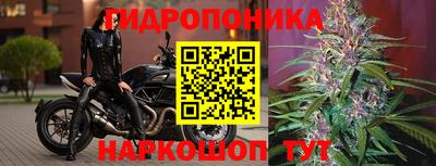 стаф Кумертау