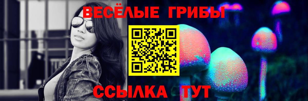 Псилоцибиновые грибы мицелий  купить наркотик  Вход с VPN  Ессентуки  Галлюциногенные грибы GOLDEN TEACHER 